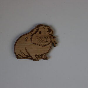 Magneet cavia model 04