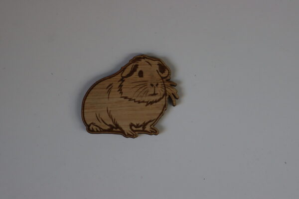 Magneet cavia model 04