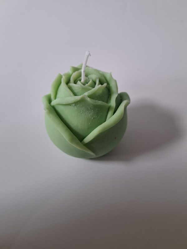 Kaars roos groen