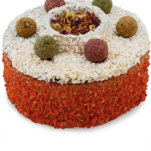 JR Farm knaagdieren taart