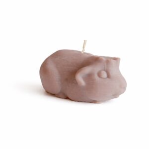 Caviakaars groot kruin