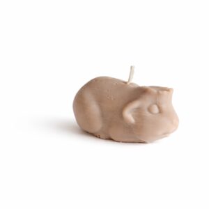 Caviakaars klein kruin