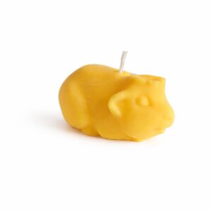 Caviakaars klein kruin