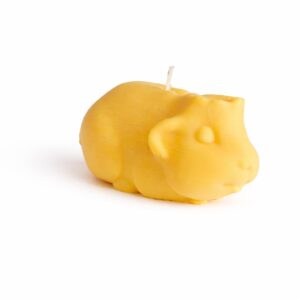 Caviakaars groot kruin