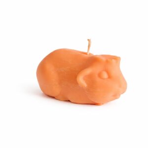 Caviakaars klein kruin